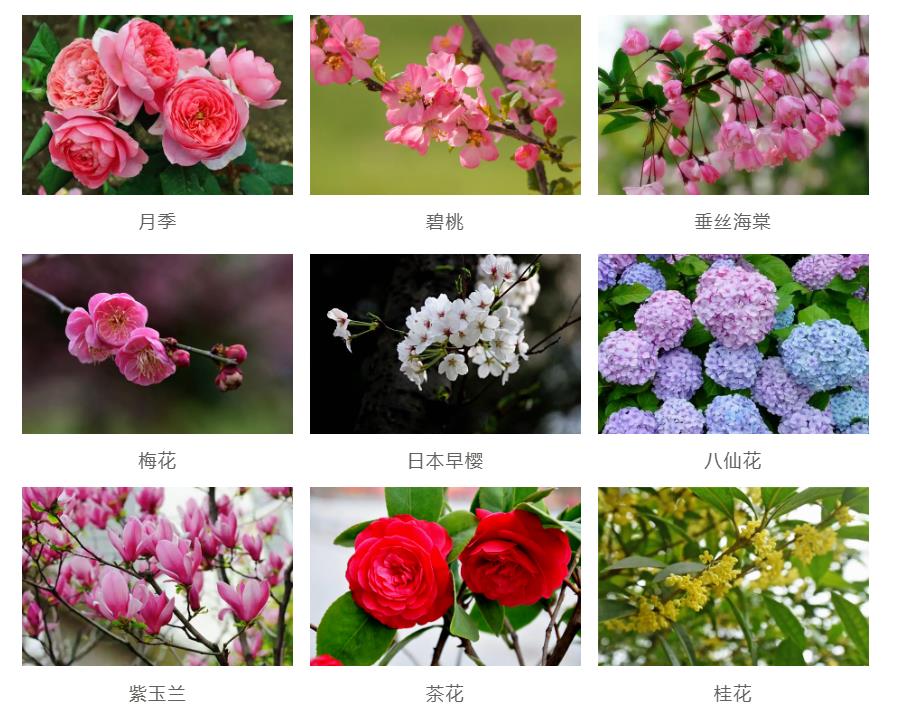 園林景觀工程如何節約成本？